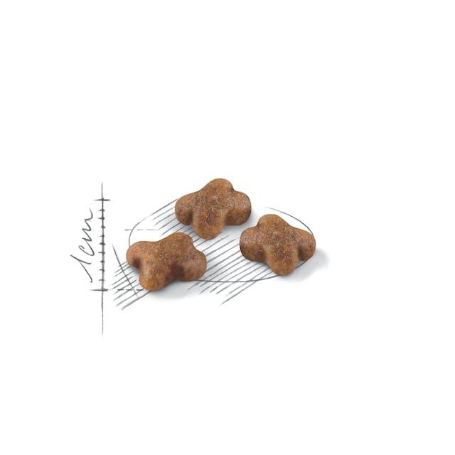 Royal Canin Kitten Cat Food Babycat 400g