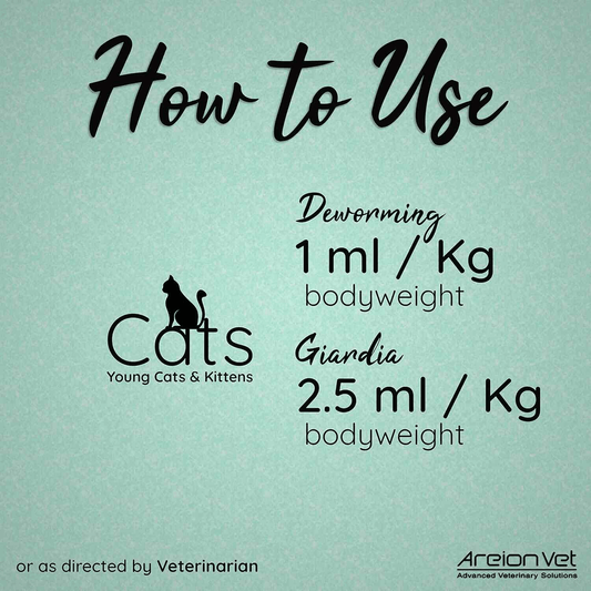 Areion Vet Feli-D (Feli D) Deworming Syrup for Kitten 15ml