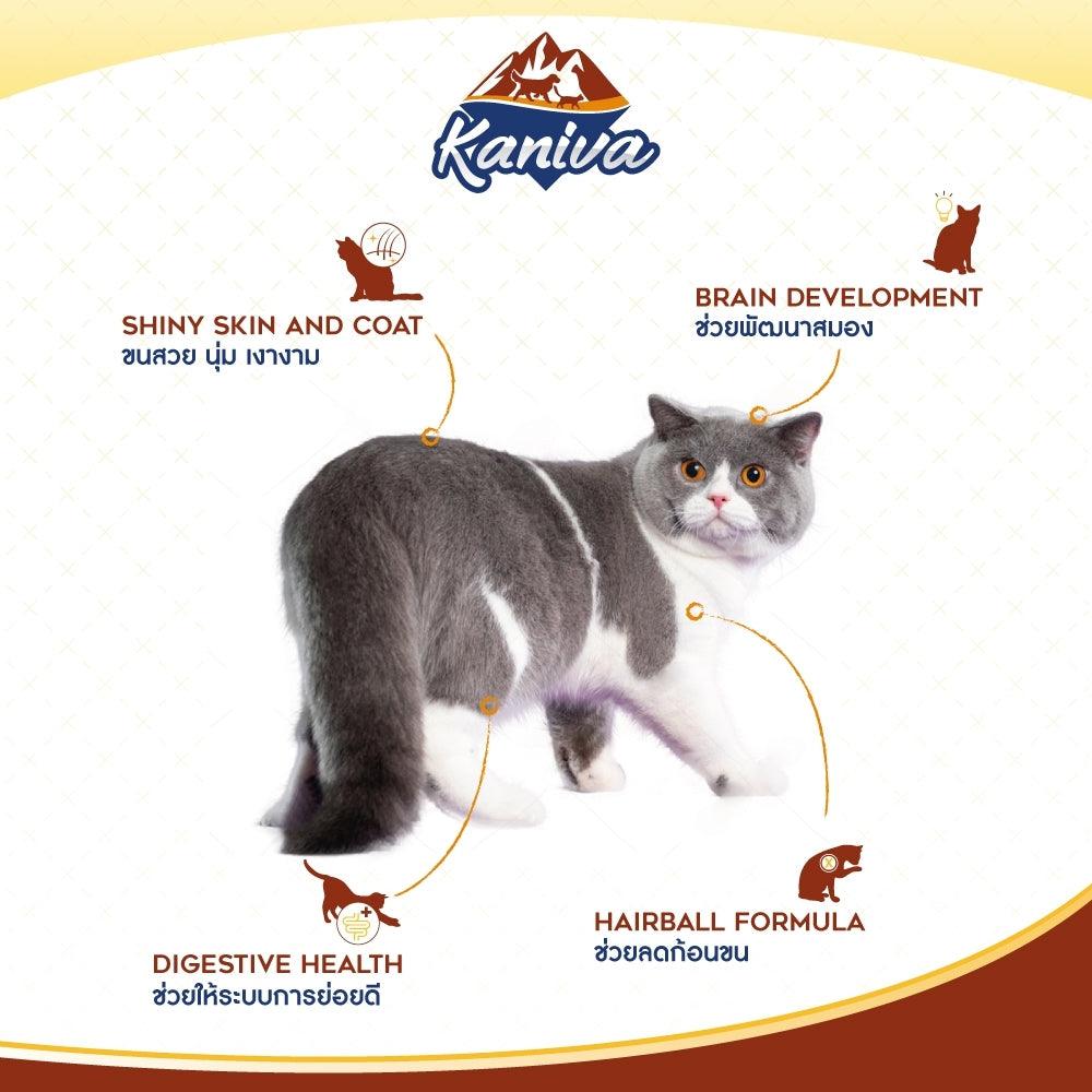 Kaniva Chicken, Tuna & Rice Cat Dry food For Cats Over 4 Months 3.2kg