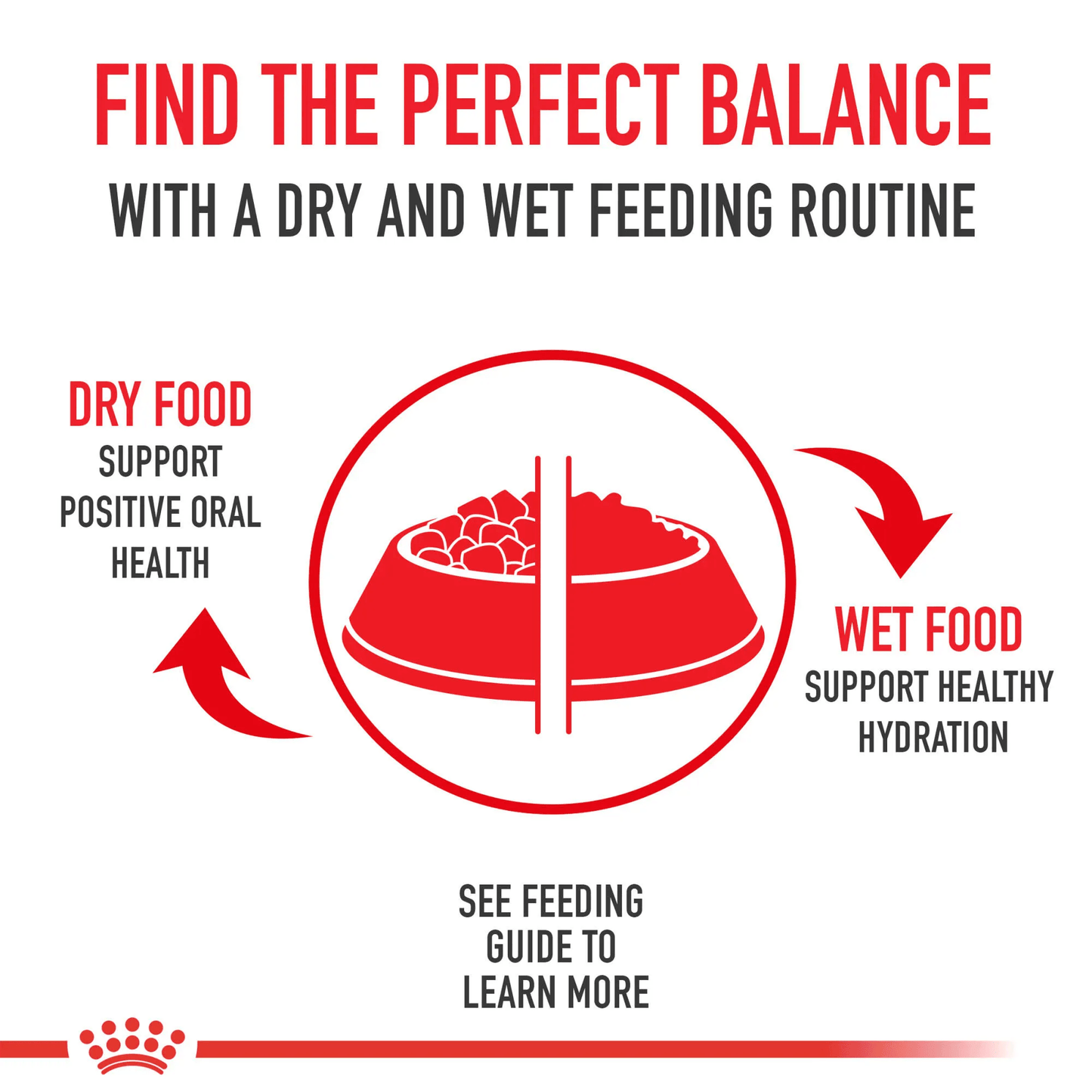 Royal Canin Persian Adult Dry Cat Food 2kg
