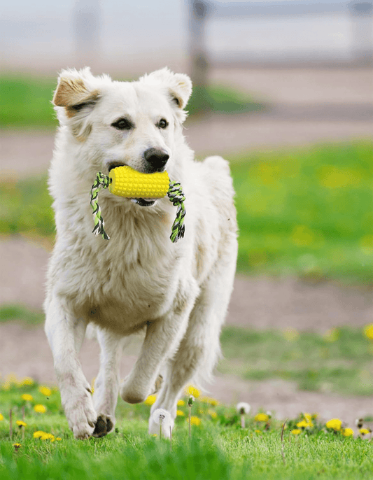Dog Chew Toys, Puppy Toothbrush Clean Teeth Interactive Corn Toys, Dog Toys Aggressive Chewers Meduium Large Breed