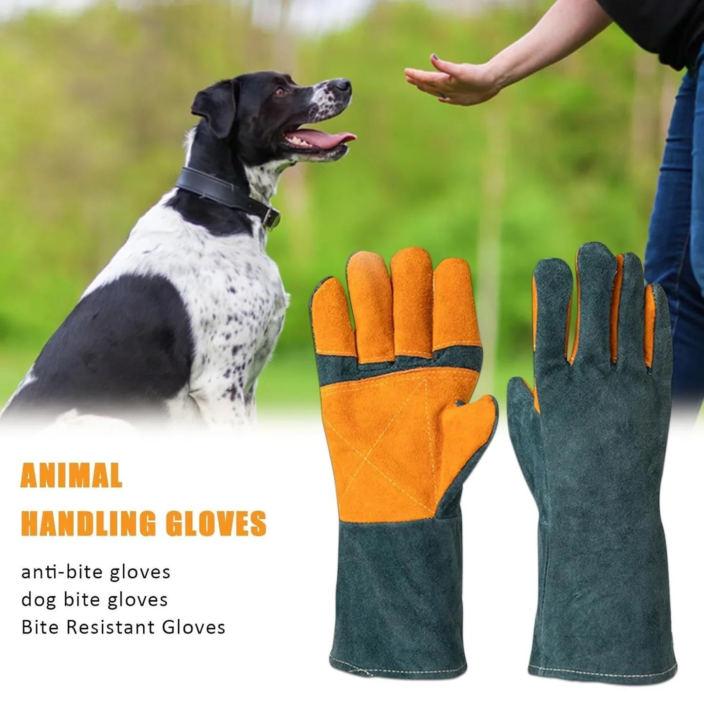 Cat Handling Gloves- Anti Bite Gloves, Animal Handling Gloves Bite Proof | Multipurpose Pet Glove Random Color