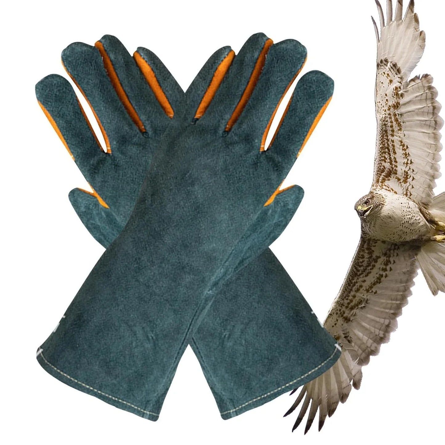 Cat Handling Gloves- Anti Bite Gloves, Animal Handling Gloves Bite Proof | Multipurpose Pet Glove Random Color