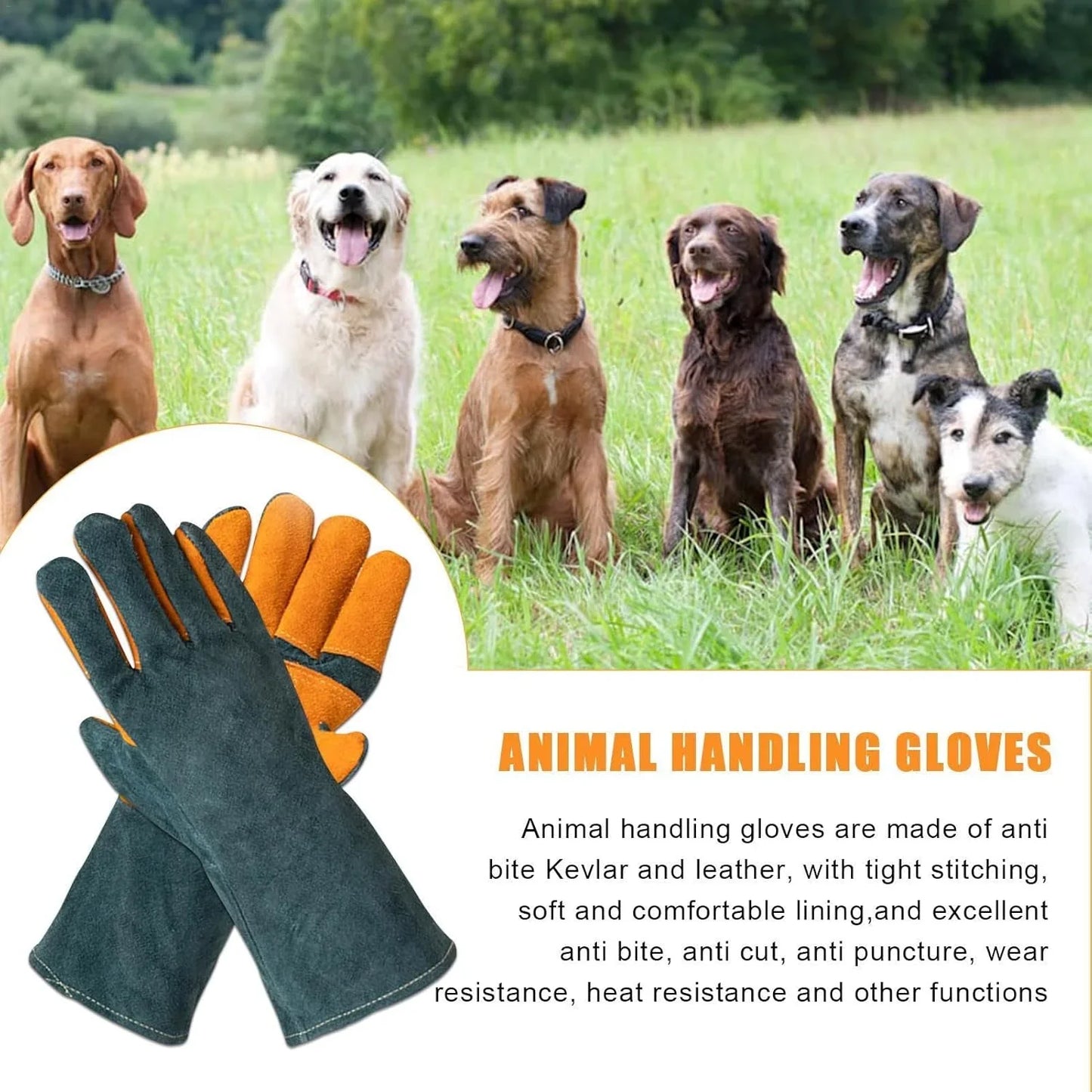 Cat Handling Gloves- Anti Bite Gloves, Animal Handling Gloves Bite Proof | Multipurpose Pet Glove Random Color