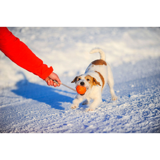 Dog Ball Toy Active Training LIKER Cord Soft Safe Foamed Polymer Non-toxic