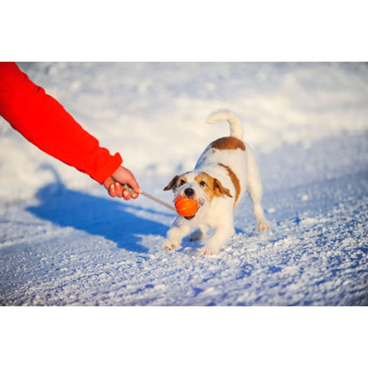 Dog Ball Toy Active Training LIKER Cord Soft Safe Foamed Polymer Non-toxic