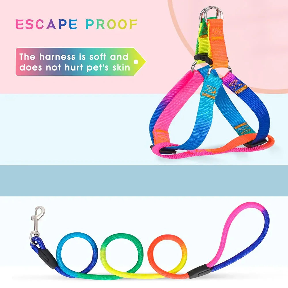 Dog Rainbow Harness Leash Durable No Pull Adjustable Safe Nylon Walking Leash for Small to Medium Dog