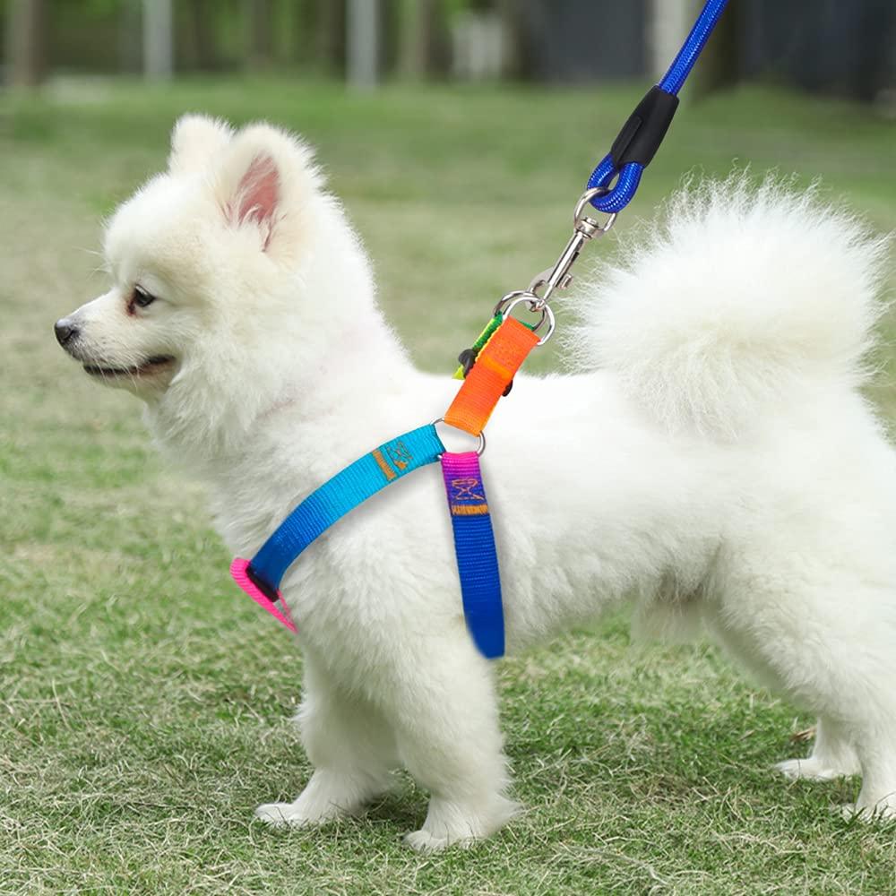 Dog Rainbow Harness Leash Durable No Pull Adjustable Safe Nylon Walking Leash for Small to Medium Dog