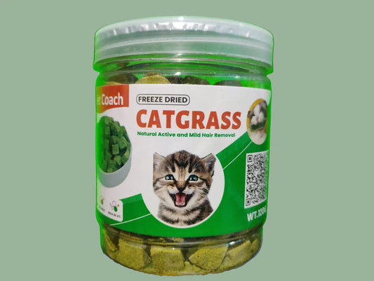 Cat Grass Treats for Cat, 120g Freezed Dried Snacks for Cats, Edible Cats Chew Toys, Kitten Treats for Cleaning Teeth, Remove Hair Ball