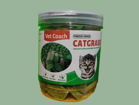 Cat Grass Sticks for Cat, Cat Grass Teething Stick Snack Canned for Indoor Cats, Cat Grass Treats for Teeth Cleaning and Hairball Relief