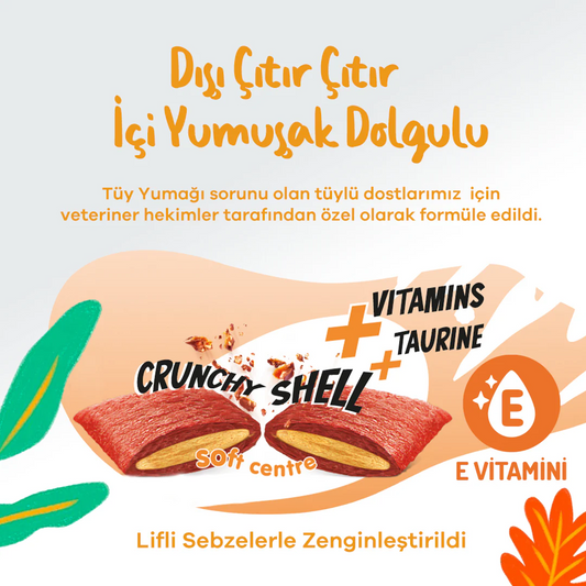 Jungle Crunch Dry Cat Treat Hair & Skin Care with Chicken (60gm)