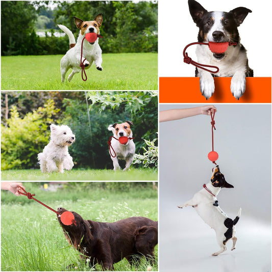 Linian 1 Pcs Dog Ball Rope Pet Rubber Chew Toy Ball with Rope, Interactive Rubber Ball for Catch, Throw(Red) 6.5cm