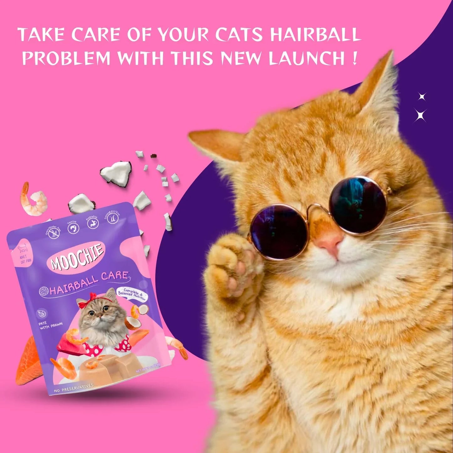 Moochie Non-Vegetarian Cat Foods Pouch for Adult Cats Hairball Care with Prawn 70g