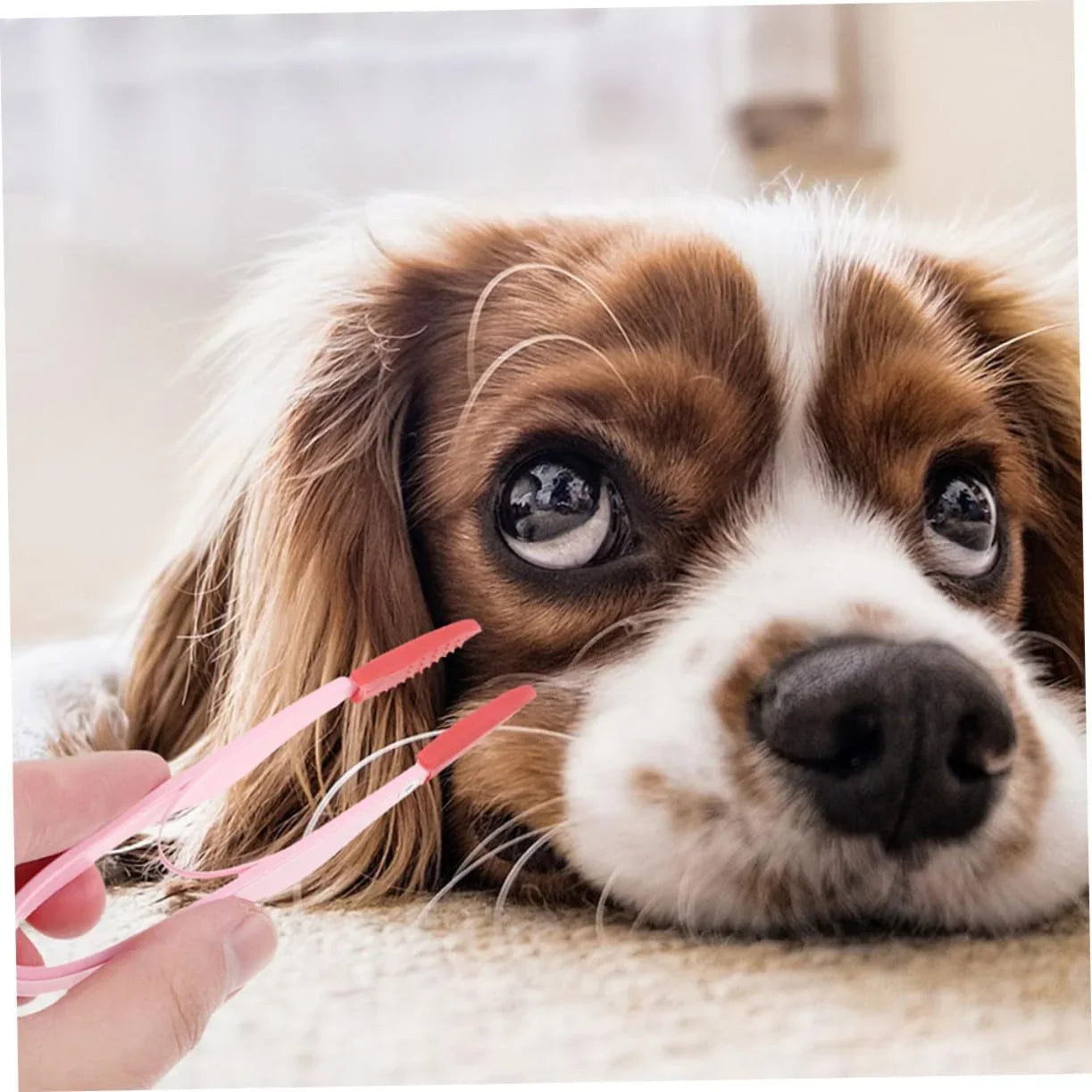 1 Pcs PET Eye Cleaning Brush Set, Ergonomic for Tear Stain Removal, Portable Cat Comb for Daily Use, Small Size for Easy Handling
