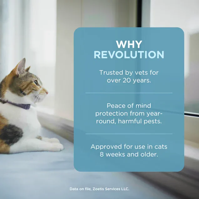 Revolution Plus Topical Solution for Cats and Rabbits Weighing 2.6-7.5kg