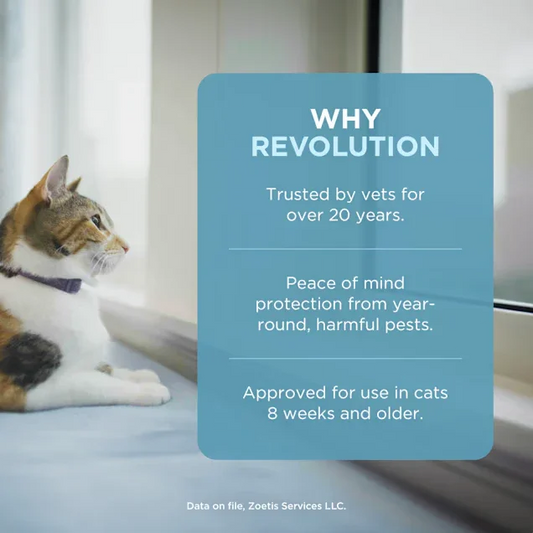 Revolution Plus Topical Solution for Cats and Rabbits Weighing 2.6-7.5kg