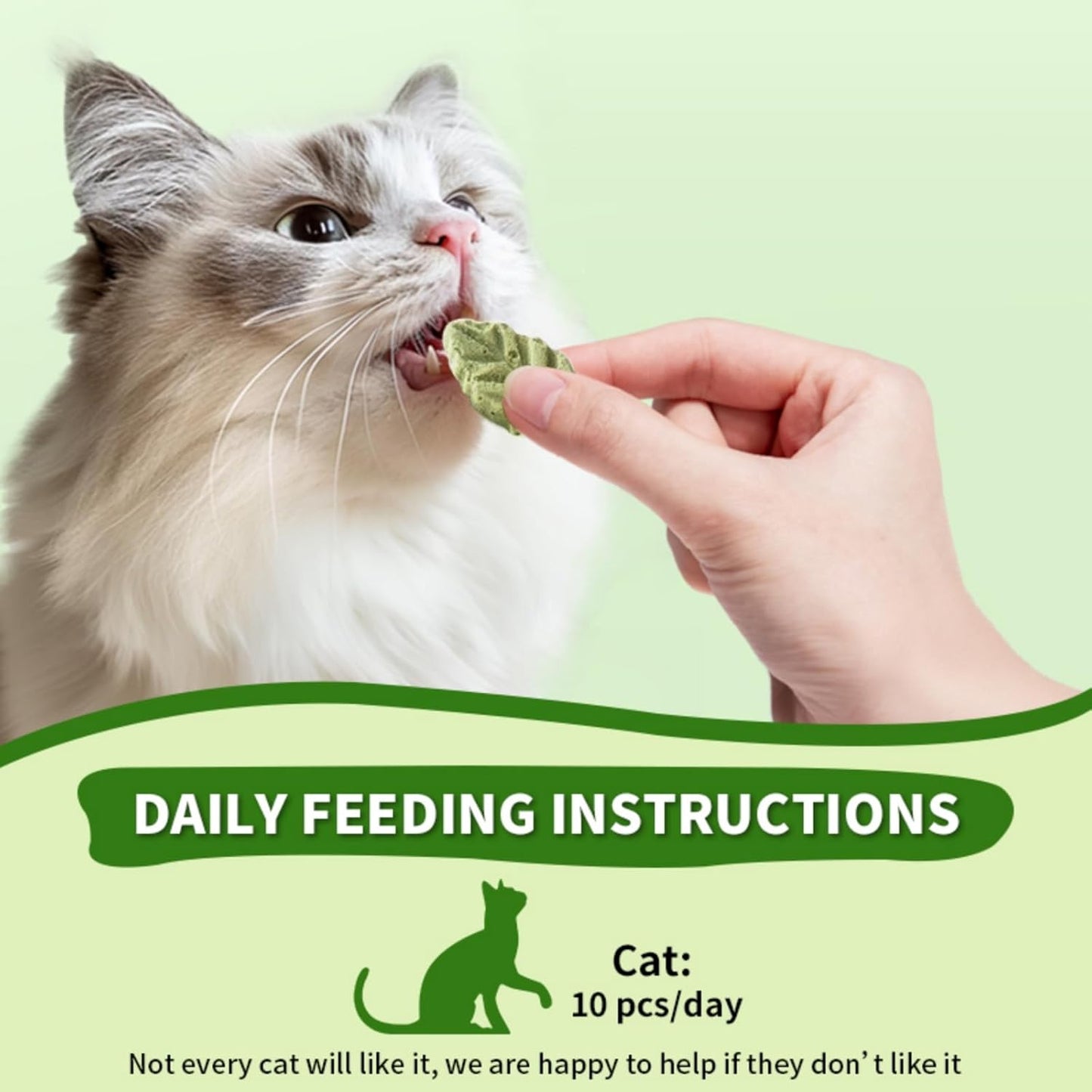 Cat Grass Sticks for Cat, Cat Grass Teething Stick Snack Canned for Indoor Cats, Cat Grass Treats for Teeth Cleaning and Hairball Relief