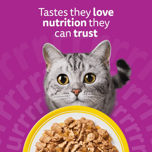 WHISKAS® 1+ Adult Wet Cat Food Pouches in Jelly with Chicken 85g