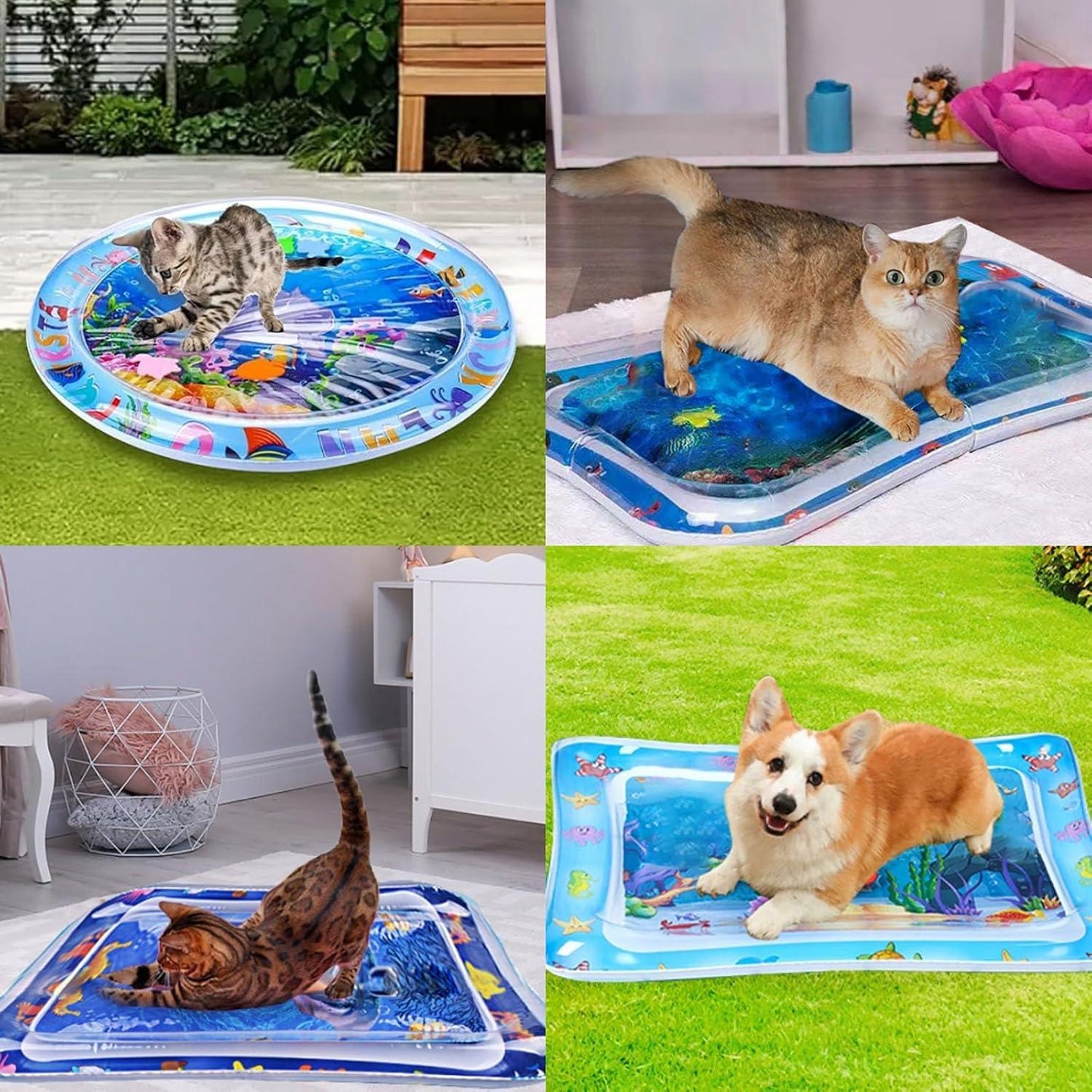 Cat Water Bed | Water Bed for Cats | Cat Sensory Water Mat | Pet Water Sensory Mat | Water Sensory Mat Cat | Dog Water Play Mat | Tummy Time Water Mat with Fish Cat Activity Play Mat