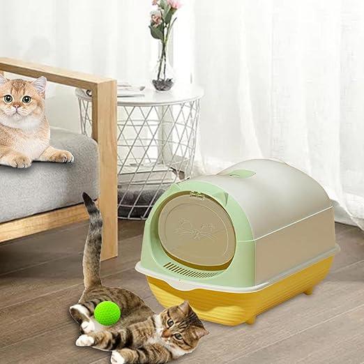 litter box