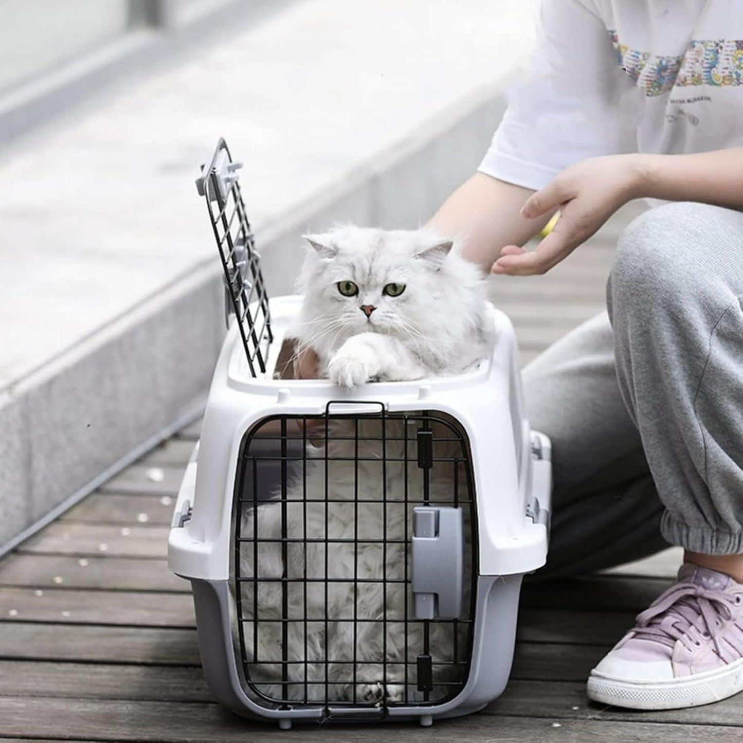 Hard-Sided Two-door Pet Carriers Ideal for Small Dogs, Cats & Other Small Animals Carry Cage
