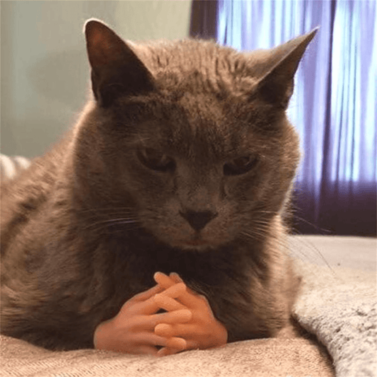 Mini Hands for Cats, Cat Mini Hands, Tiny Hands for Cats, Small Hands for Cats, Cat Fingers Mini Hands Toy, Tiny Hands Cat Massage Tool Cat Toy Finger Gloves Little Finger Silicone Gloves 1Pcs