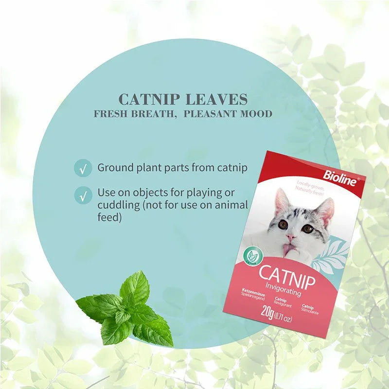 Bioline Catnip Invigorating Powder 20g