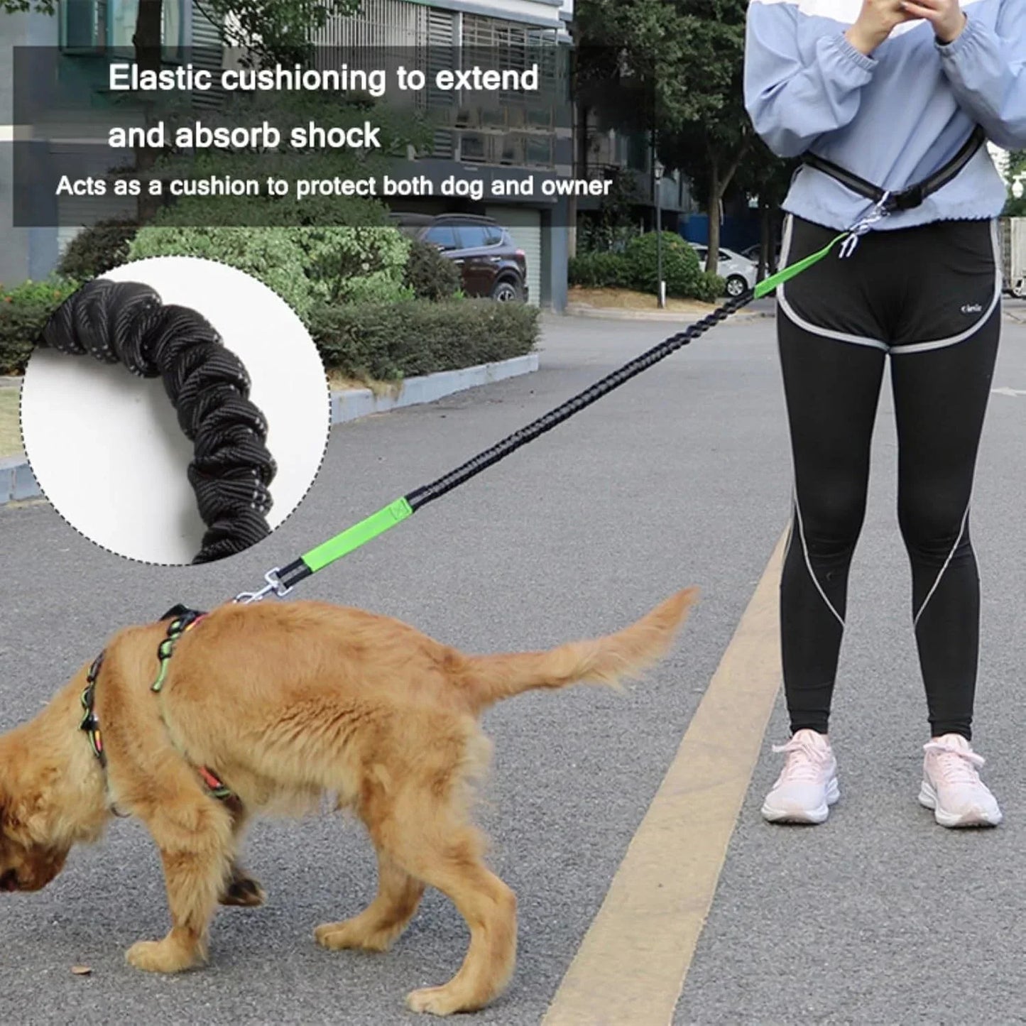 Hands Free Dog Leash, Adjustable Waist Belt and Dual-Handle Retractable Bungee Leash, Jogging Dog Leash with Reflective Stitching, Random Colors