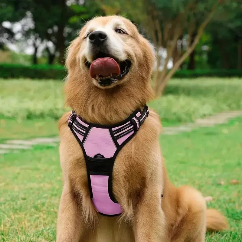 Dog Medium Harness Adjustable No-Pull Dog Harness | with Padded Vest and Dual Leash Clips | Prevents Choking and Provides Comfortable Walking Experience