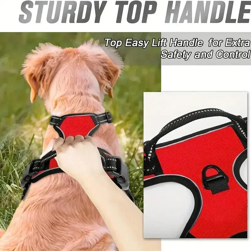 Dog Medium Harness Adjustable No-Pull Dog Harness | with Padded Vest and Dual Leash Clips | Prevents Choking and Provides Comfortable Walking Experience