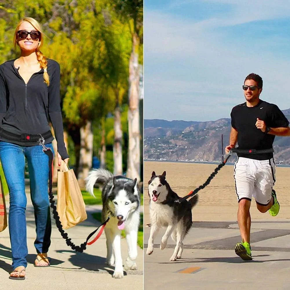 Hands Free Dog Leash, Adjustable Waist Belt and Dual-Handle Retractable Bungee Leash, Jogging Dog Leash with Reflective Stitching, Random Colors