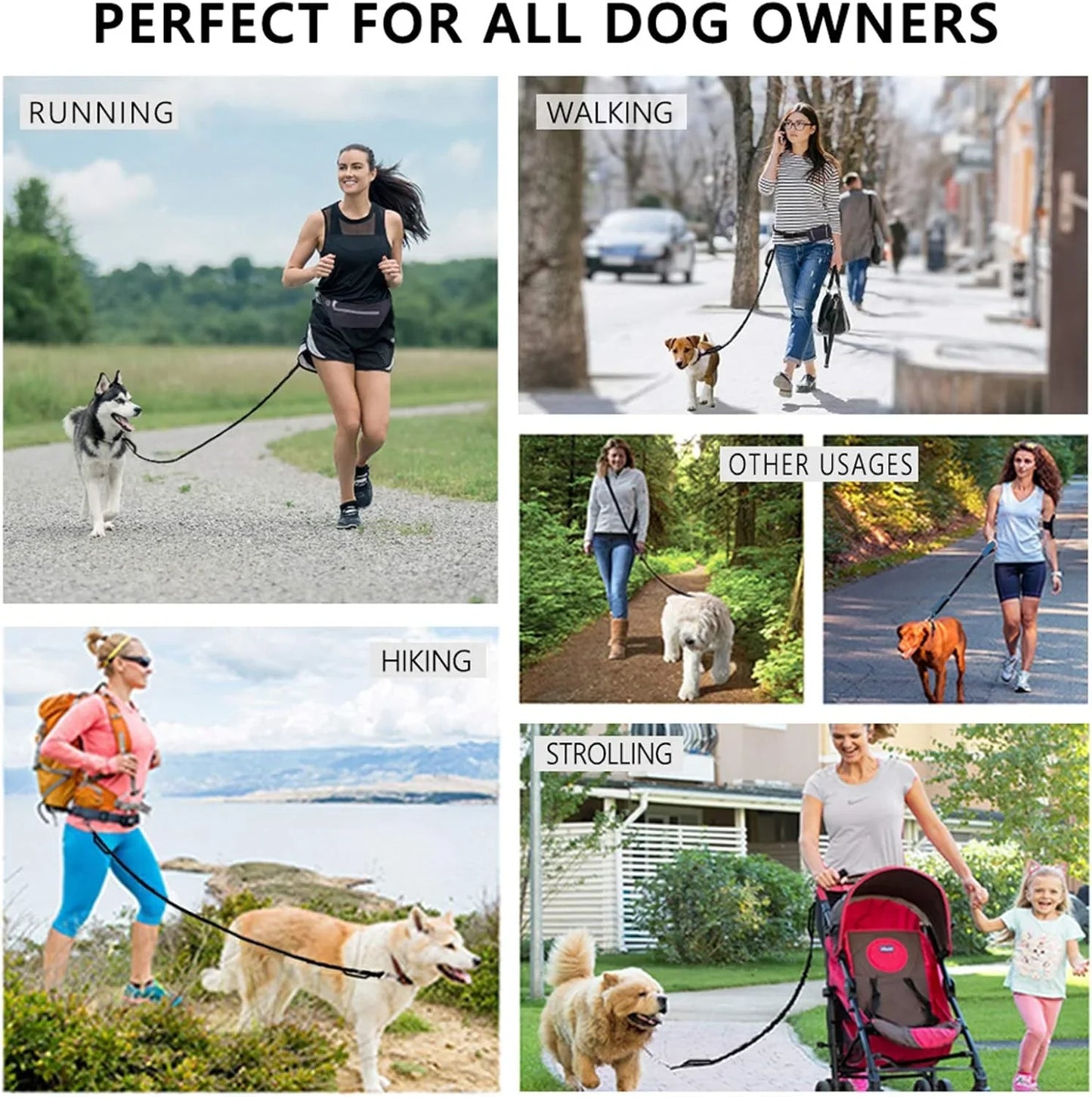 Hands Free Dog Leash, Adjustable Waist Belt and Dual-Handle Retractable Bungee Leash, Jogging Dog Leash with Reflective Stitching, Random Colors
