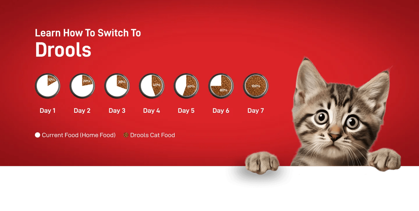 Drools Kitten(1-12 Months) Dry Cat Food, Real Chicken Flavour 3 Kg