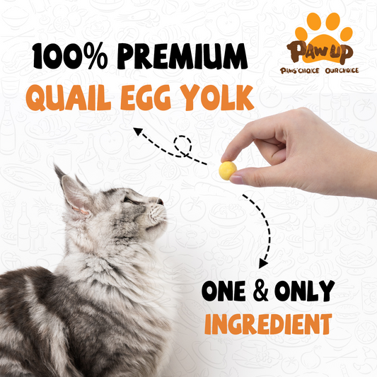 Freeze-dried Egg Yolk Granules Beautify Smoothing Cat Food Freeze-dried Snacks
