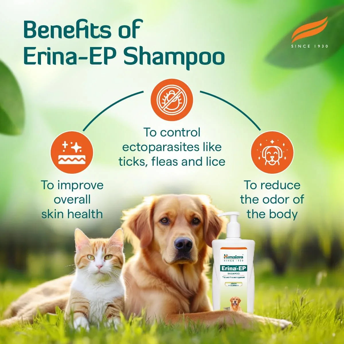 Himalaya Erina-EP Tick and Flea Shampoo for Dogs and Cats 450ml