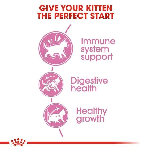 Royal Canin Kitten Cat Food Babycat 400g