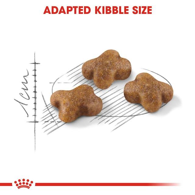Royal Canin Kitten Cat Food Babycat 400g