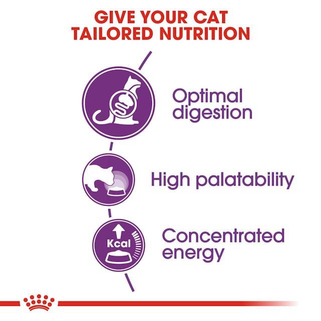 Royal Canin Regular Sensible 33 Dry Cat Food 2 kg