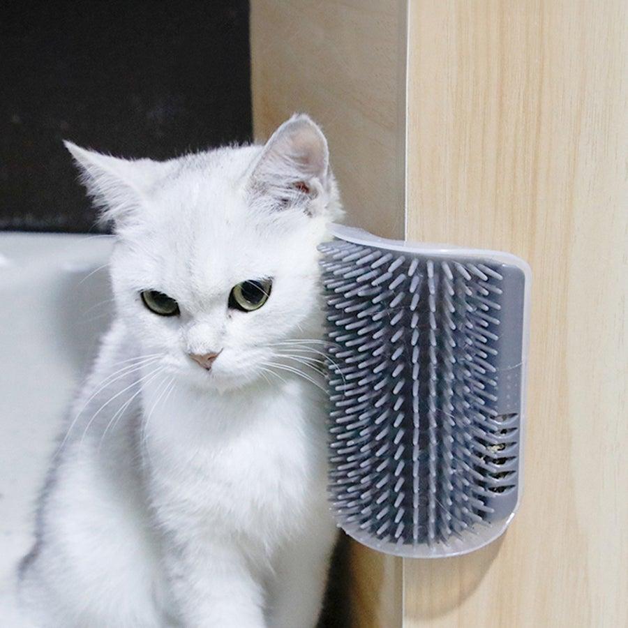 grooming