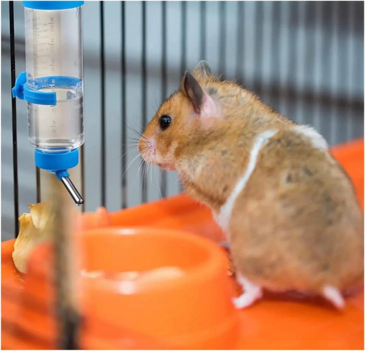 Hamster Drinker Plastic Water Bottle Dispenser Feeder HangingHamster Guinea Pig Squirrel Rabbit Drinking Head Pipe Fountain 125ml