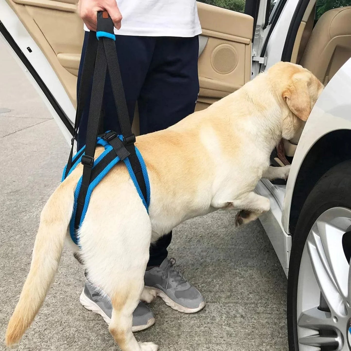 Adjustable Dog Lift Harness for Back Legs Pet Support Sling Help Weak Legs Stand Up Pet Dogs Aid Assist Tool