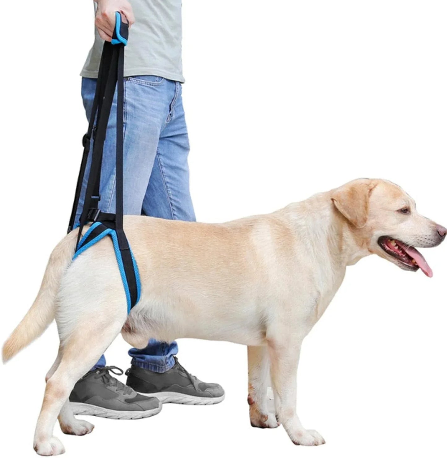Adjustable Dog Lift Harness for Back Legs Pet Support Sling Help Weak Legs Stand Up Pet Dogs Aid Assist Tool