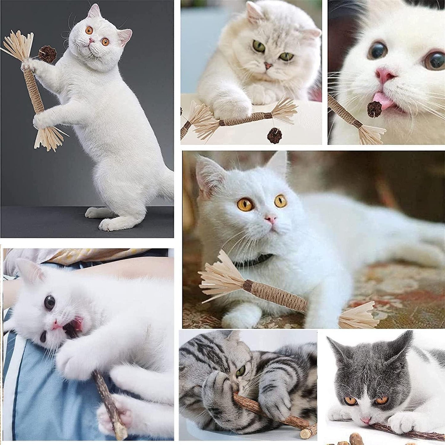 Silvervine Sticks for Cats, Catnip Sticks for Kittens Teeth Cleaning, Calm Cat Anxiety and Stress, Increase Appetite 1 Pcs