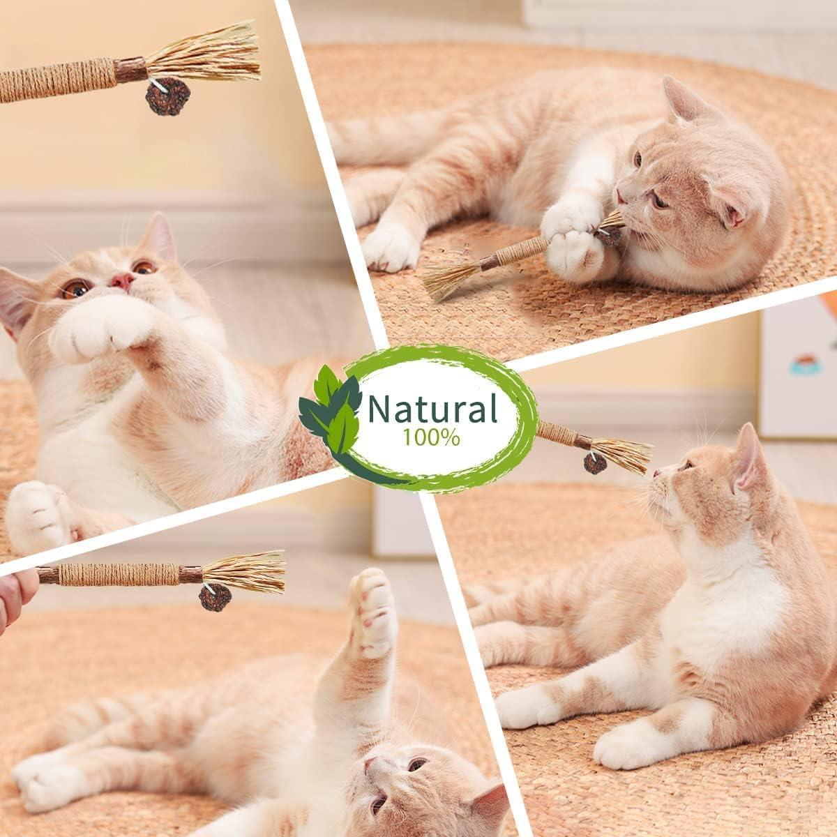 Silvervine Sticks for Cats, Catnip Sticks for Kittens Teeth Cleaning, Calm Cat Anxiety and Stress, Increase Appetite 1 Pcs