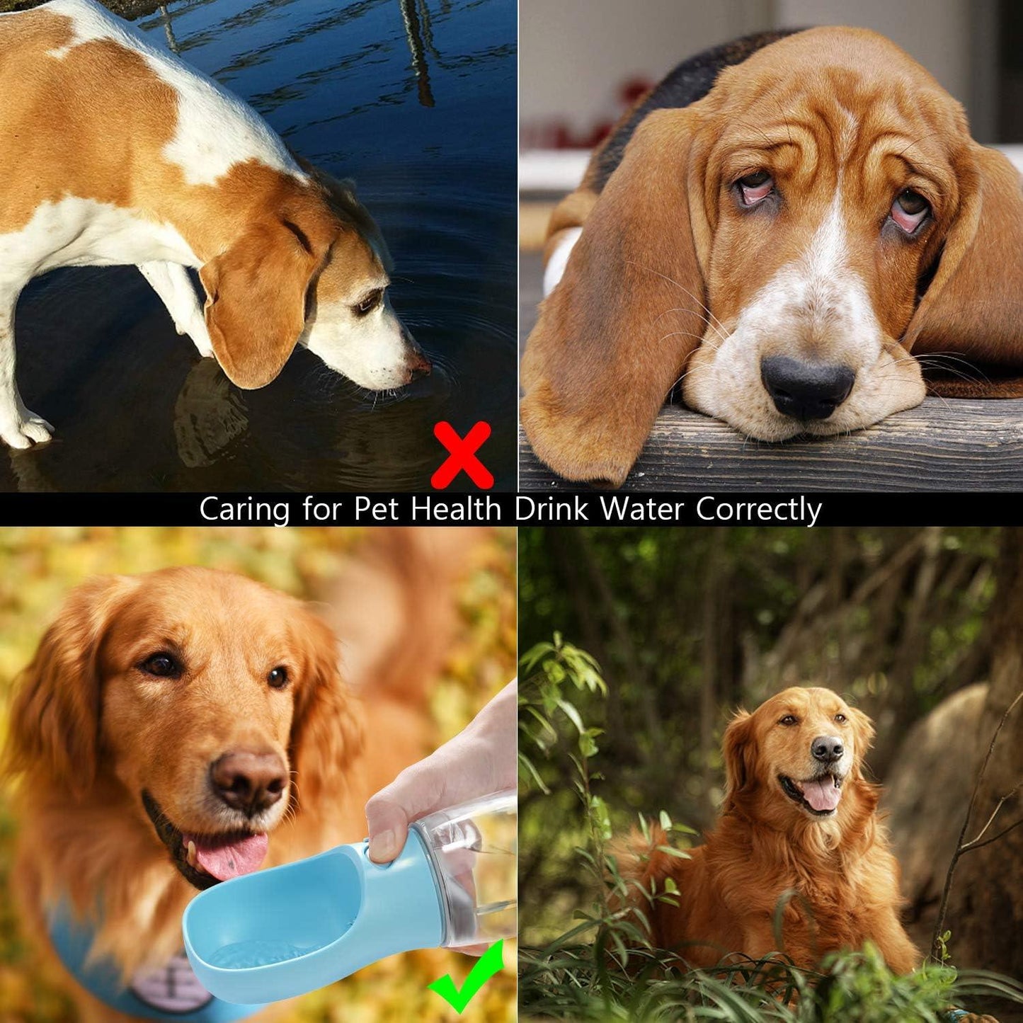 Portable Dog Water Bottle, Leak Proof Dog Water Dispenser, 350ml /12oz Pet Travel Water Bottle for Pets Outdoor Walking, Hiking, Travel, Food Grade Plastic