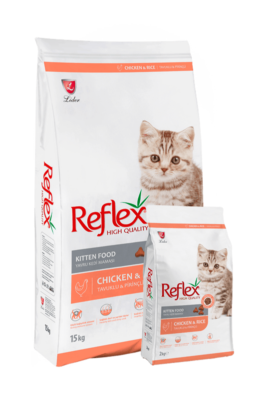 reflex-kitten