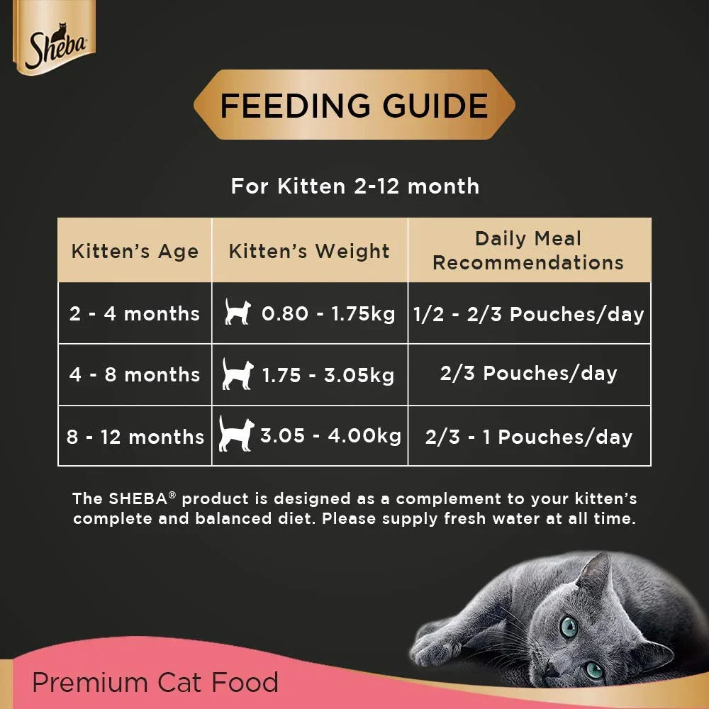 Sheba Premium Loaf Fine Wet Cat Food for Kitten in Chicken 70g