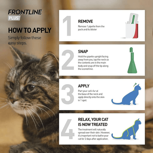 FRONTLINE Plus Spot On for Cats - Flea and Tick Protection- 1 Pipette