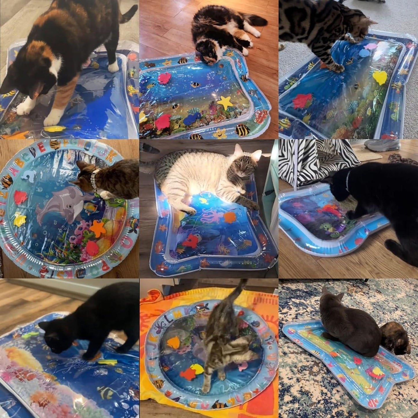 Cat Water Bed | Water Bed for Cats | Cat Sensory Water Mat | Pet Water Sensory Mat | Water Sensory Mat Cat | Dog Water Play Mat | Tummy Time Water Mat with Fish Cat Activity Play Mat