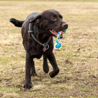 Puppy Toys Puppy Rope Toys Rope Dog Toys Puppy Toys From 8 Weeks Puppy Chew Toys Dog Toy Rope Dog Rope Toy Puppy Teething Toy Dog Toys Rope 1pcs